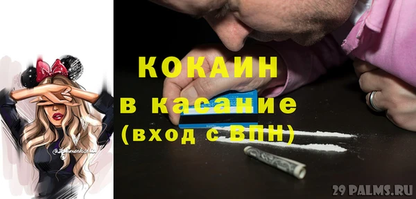 прущая мука Арсеньев