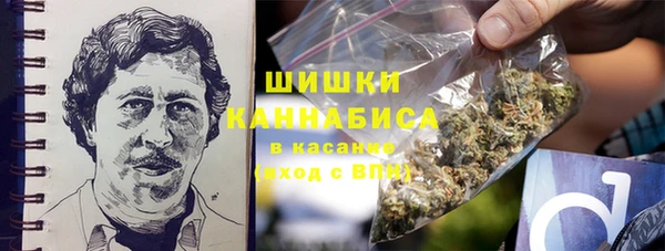 прущая мука Арсеньев