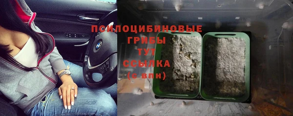 прущая мука Арсеньев
