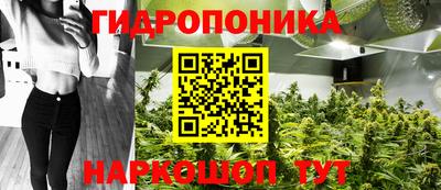 spice Абинск