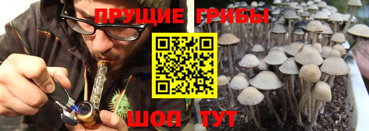Псилоцибиновые грибы MAGIC MUSHROOMS Ахтубинск