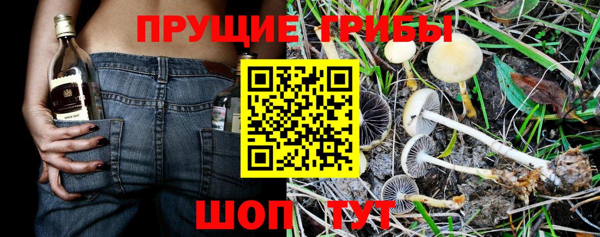 Ахтубинск  Псилоцибиновые грибы MAGIC MUSHROOMS  Вход с VPN 